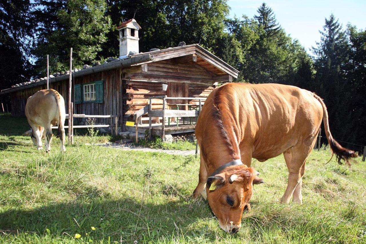 Pension Schosser Fusch an der Grossglocknerstrasse ภายนอก รูปภาพ